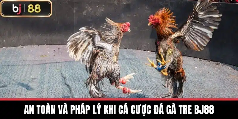 Đá Gà Tre Bj88 - Tìm Hiểu Thông Tin Chi Tiết Loại Hình Này 4 An toàn và pháp lý khi cá cược Đá gà tre BJ88