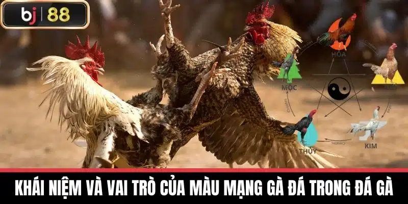 Khái niệm và vai trò của Màu Mạng Gà Đá trong đá gà
