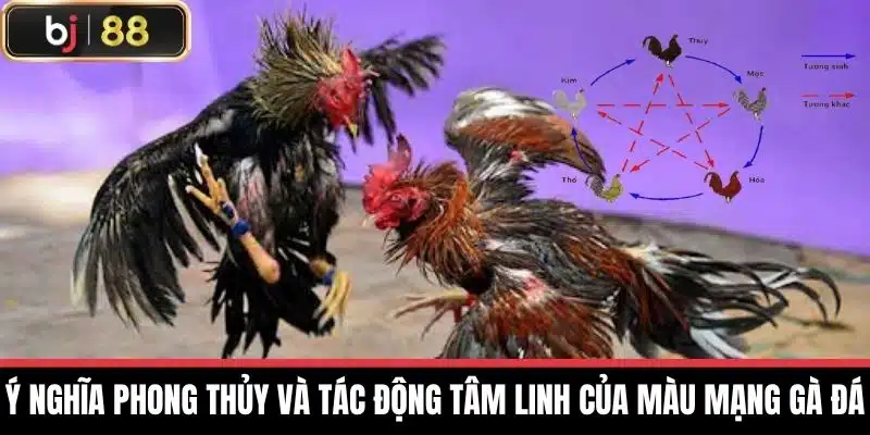 Ý nghĩa phong thủy và tác động tâm linh của Màu Mạng Gà Đá